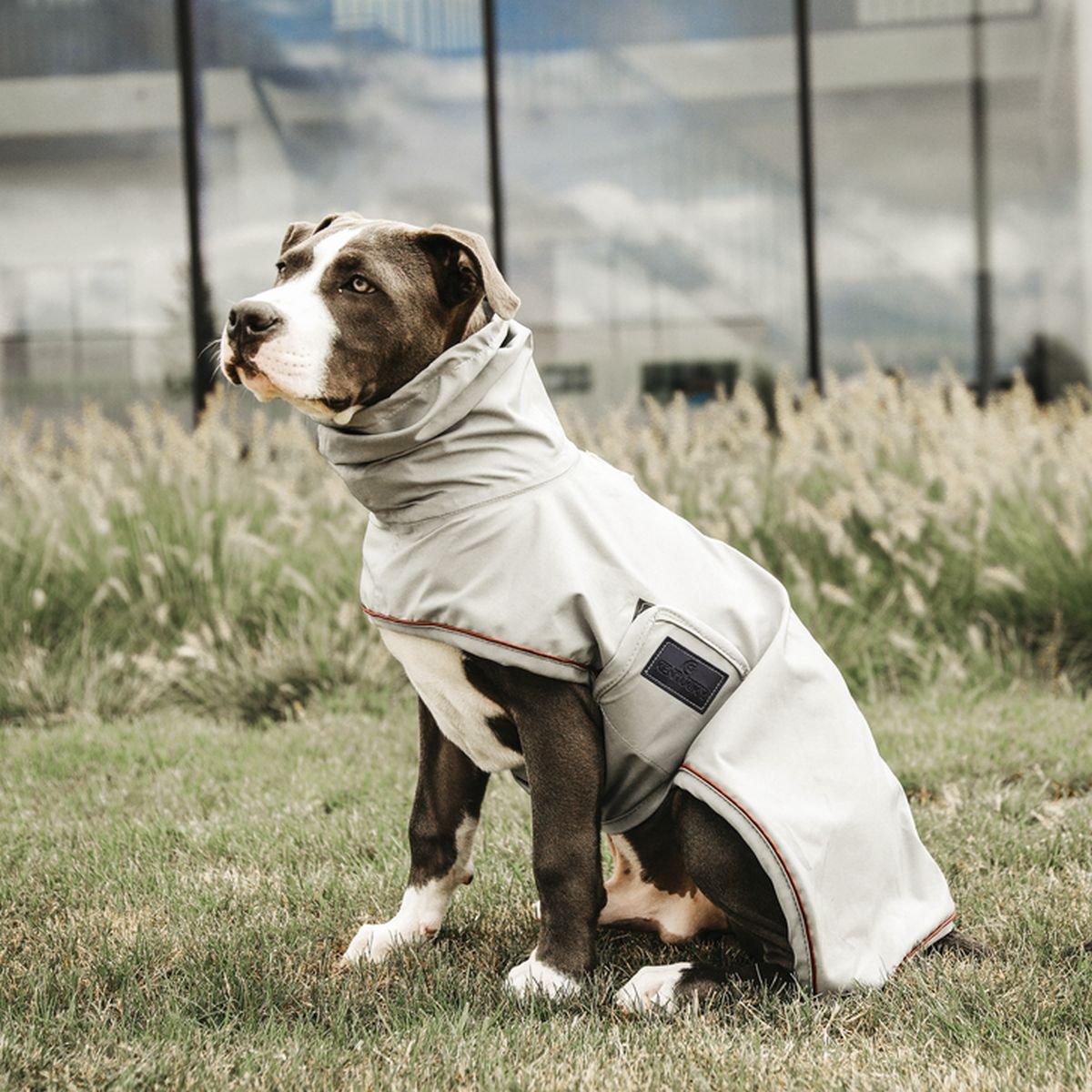 Bild von Kentucky Hunde-Regenjacke Regenmantel dusty blue L (52245-09-L)