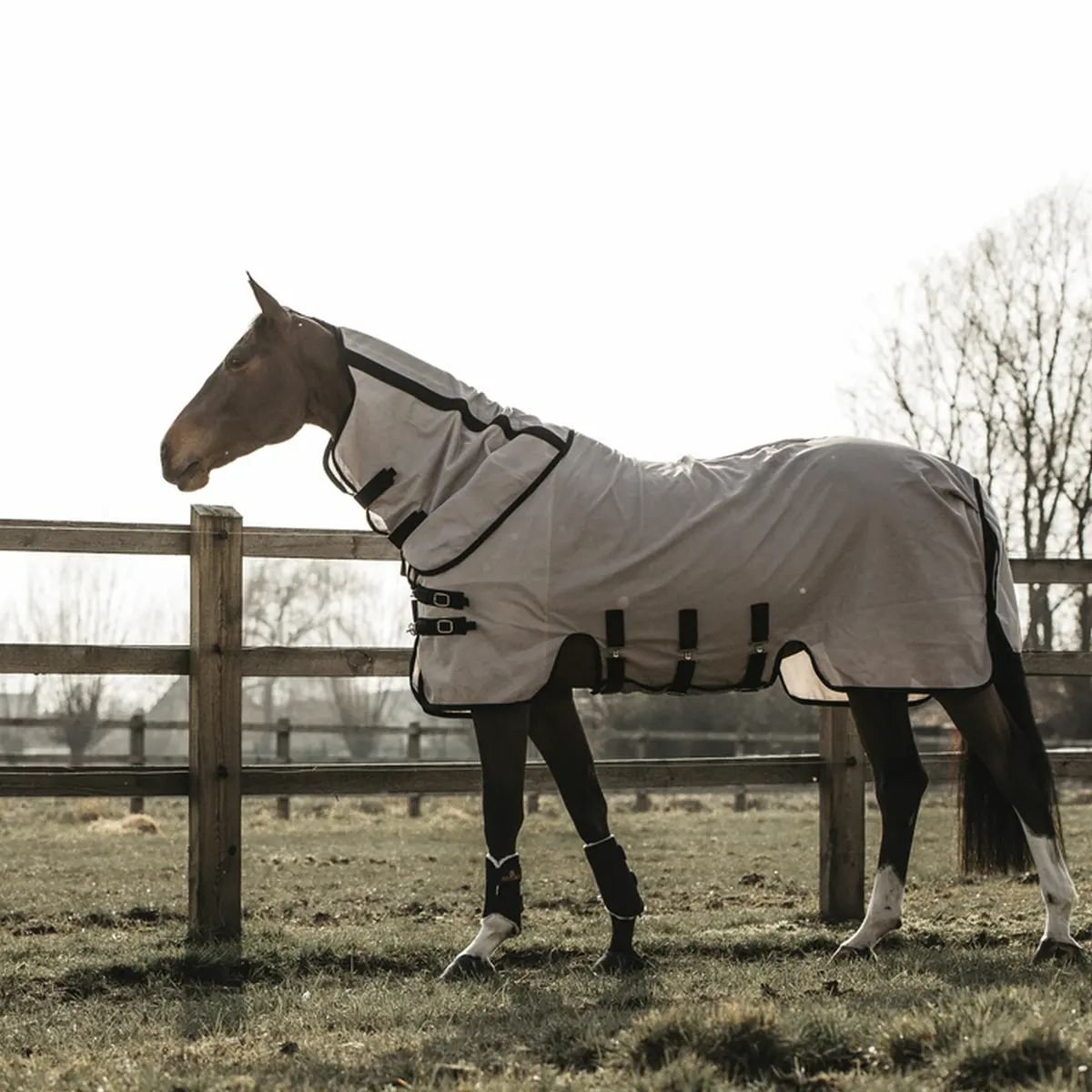 Bild von Kentucky Horsewear Fliegendecke beige 125 cm