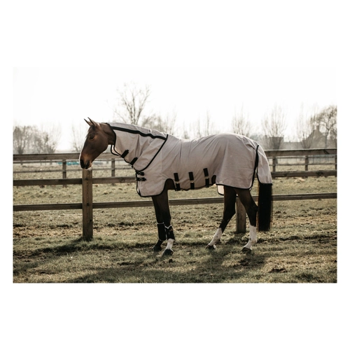 Bild von Kentucky - Fliegendecke - Beige - Größe 130/183/6.0