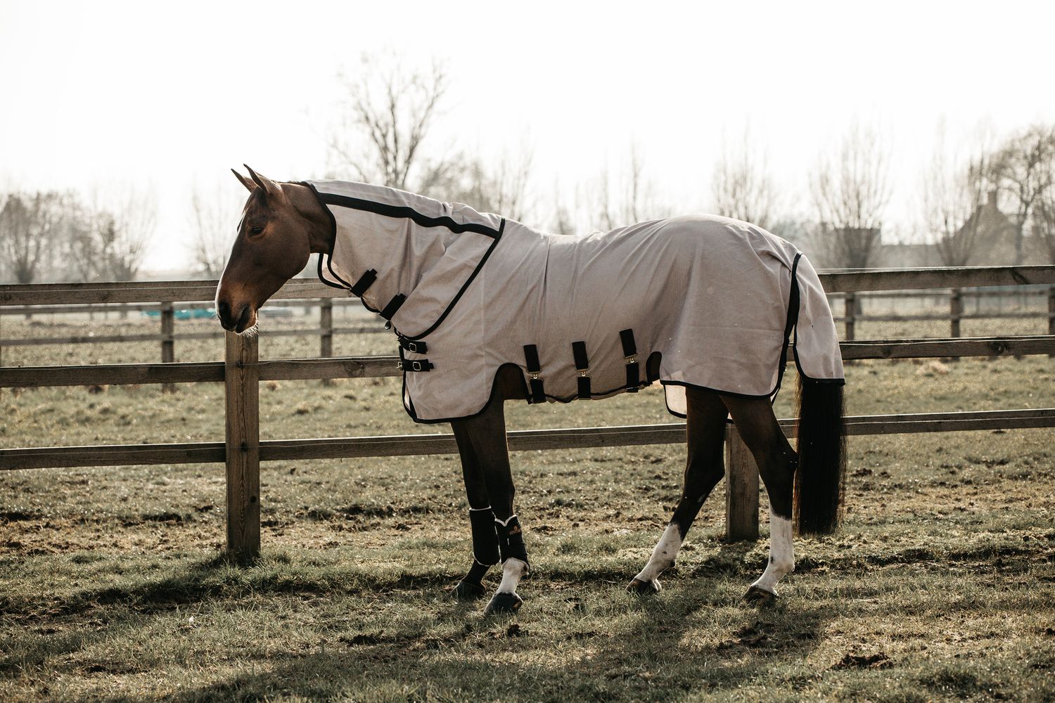 Bild von Kentucky Horsewear Fliegendecke mit Halsteil
