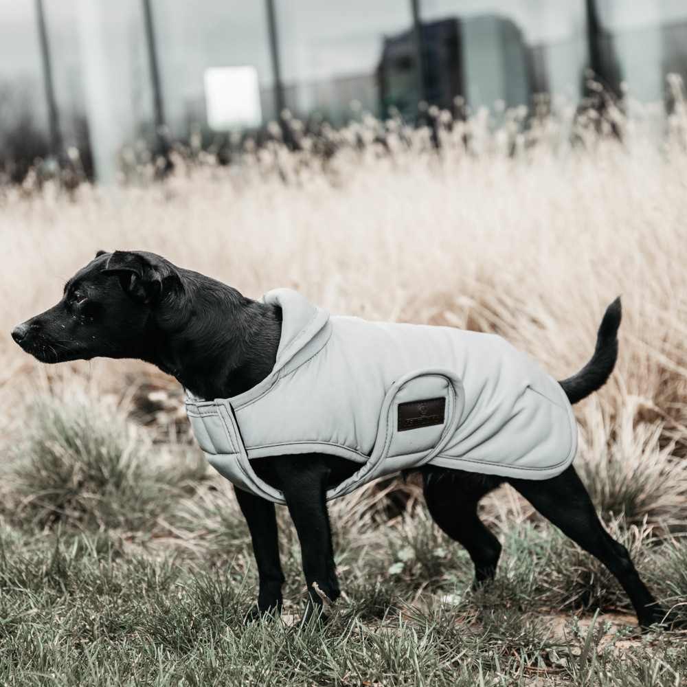 Bild von Kentucky Dogwear Hundemantel reflektierend und wasserabweisend 150g