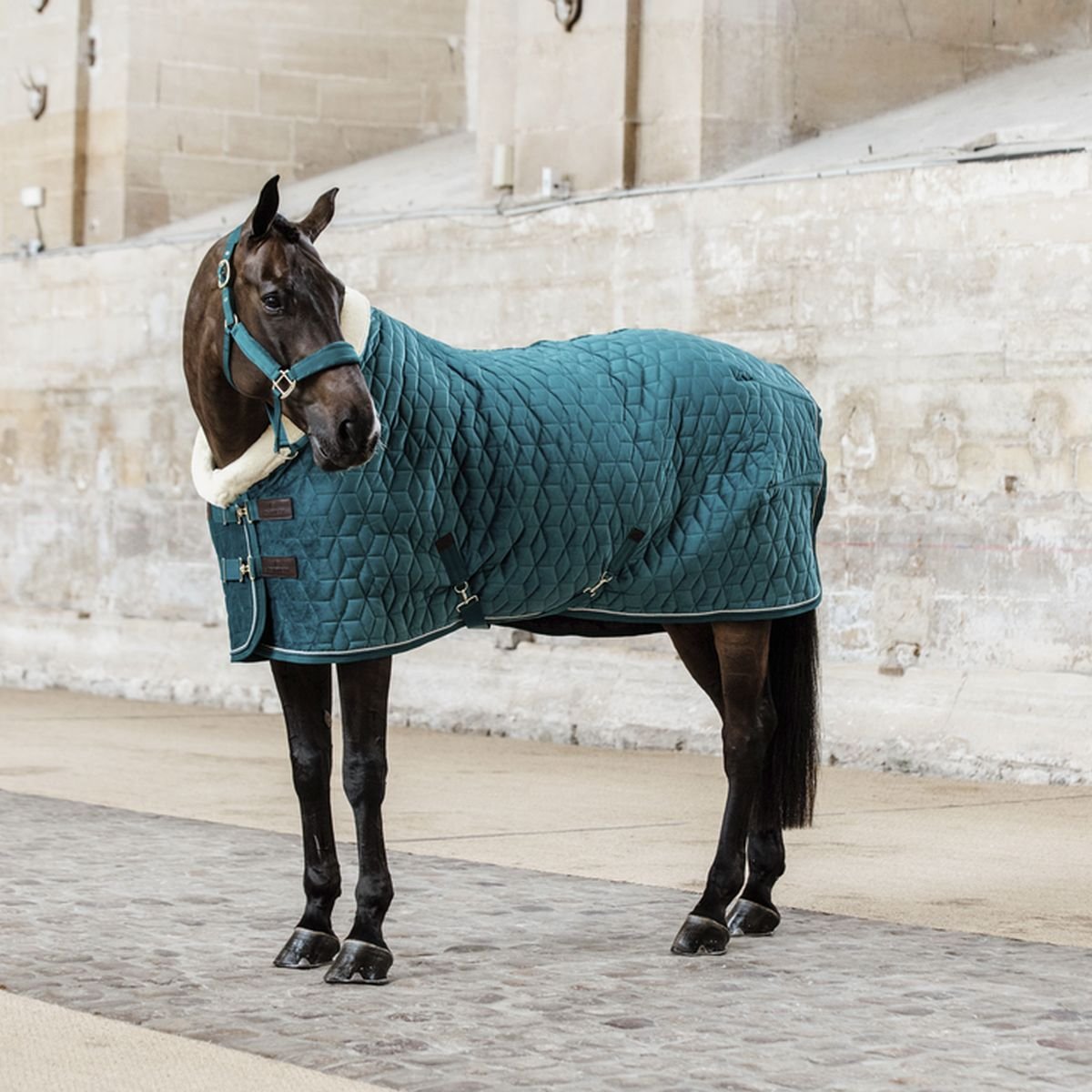 Bild von Kentucky Horsewear Turnierdecke VELVET 160g smaragd 145 cm