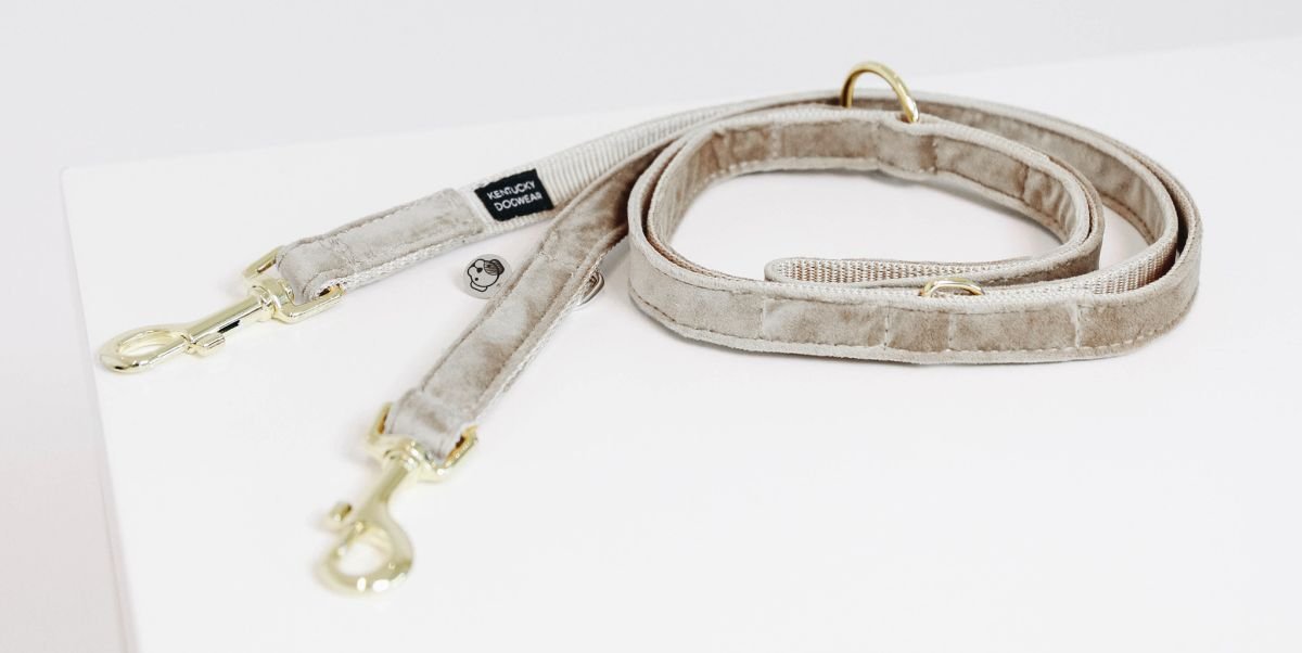Bild von Kentucky Dogwear Hundeleine VELVET 200 cm beige