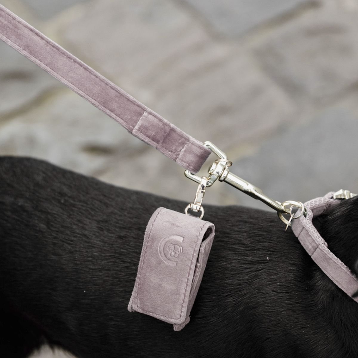 Bild von Kentucky Dogwear Pooh Bag SQUARE altrosé