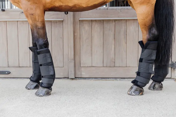 Bild von Kentucky Horsewear Stallgamaschen PROtect Classic Hinten