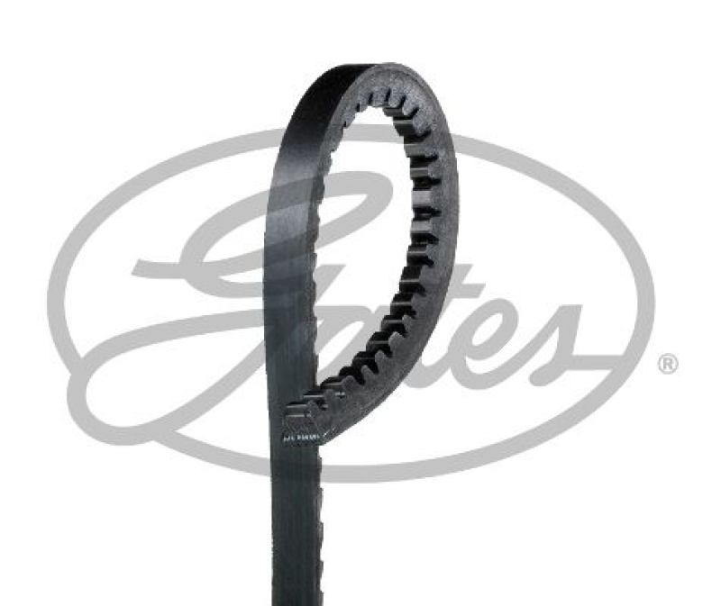 Bild von GATES Keilriemen schwarz für FORD VOLVO 1638514 86TF6C301CA 85HF8A615AA 6364MC