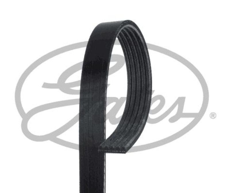 Bild von GATES Keilrippenriemen Micro-V® schwarz für MITSUBISHI SUZUKI KIA AUDI TOYOTA LAMBORGHINI PROTON NISSAN BMW HYUNDAI MAZDA TATA HONDA F201-18-908A F201