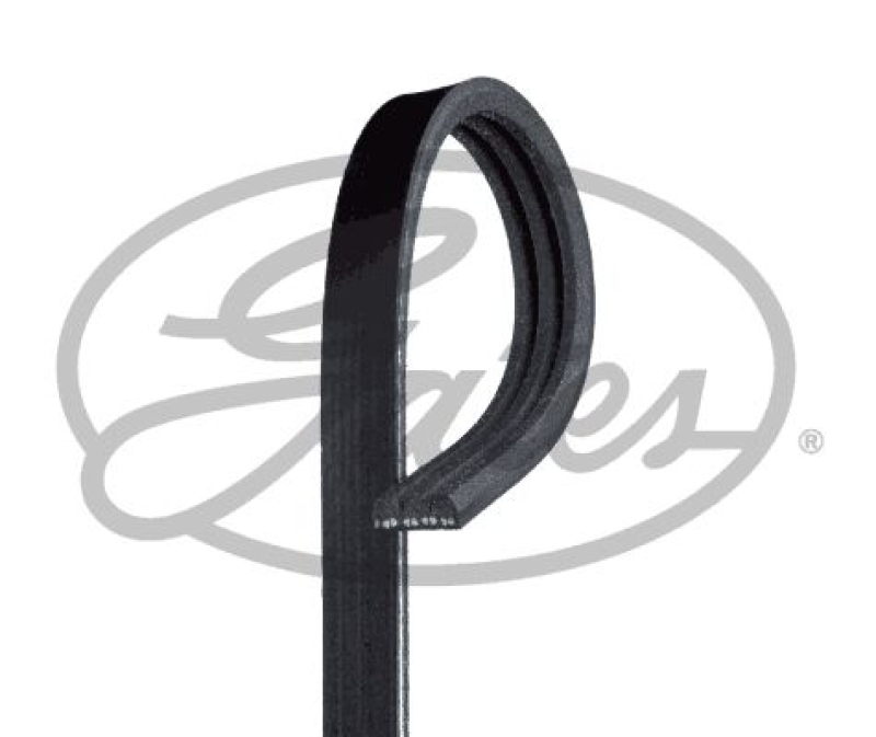 Bild von GATES Keilrippenriemen Micro-V® schwarz für FIAT LANCIA NISSAN 71719398 A1720-01B0A A1720-01B01 3PK913