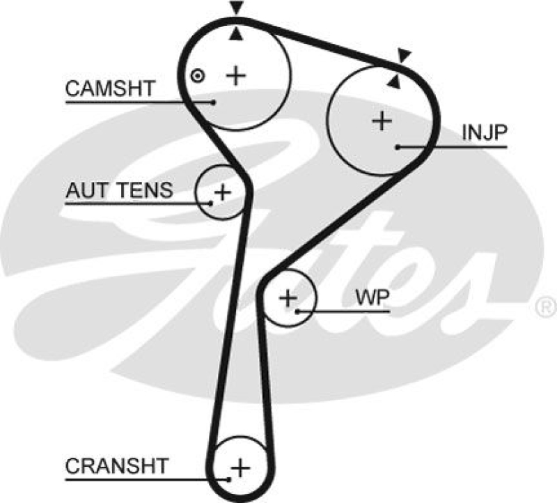 Bild von GATES Zahnriemen G-Force Redline™ CVT Belt 5675XS Steuerriemen MERCEDES-BENZ,RENAULT,NISSAN,A-Klasse (W176),B-Klasse (W246, W242),GLA (X156)