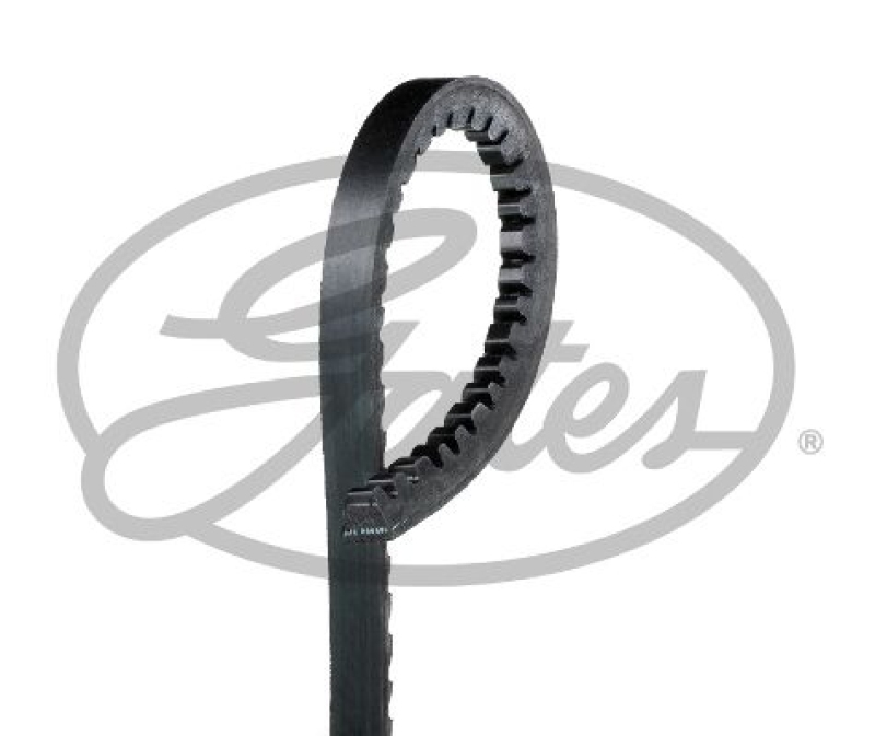 Bild von GATES Keilriemen FleetRunner™ V-Belt AVX13X2250HD