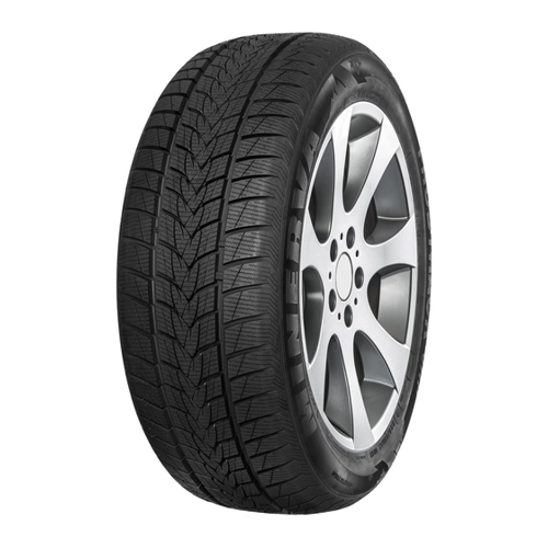 Bild von Minerva Frostrack UHP 295/35 R21 107V - Offroad-Winterreifen