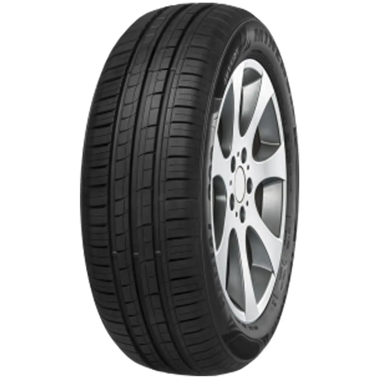 Bild von Minerva F209 225/60 R15 96V Reifen