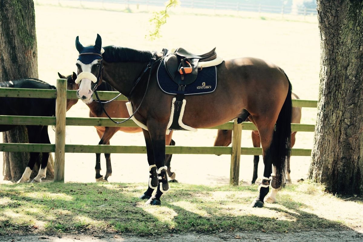 Bild von Kentucky Horsewear Lammfell-Stollengurt schwarz 125 cm