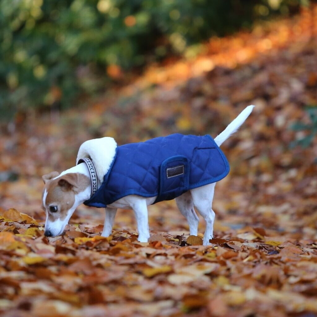 Bild von Kentucky Dogwear Hundemantel ORIGINAL marineblau S