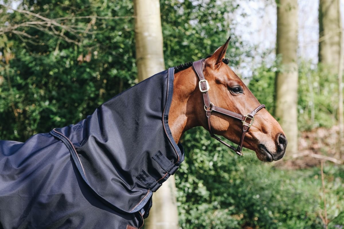Bild von Kentucky Horsewear Halsteil ALL WEATHER WATERPROOF PRO 150g...