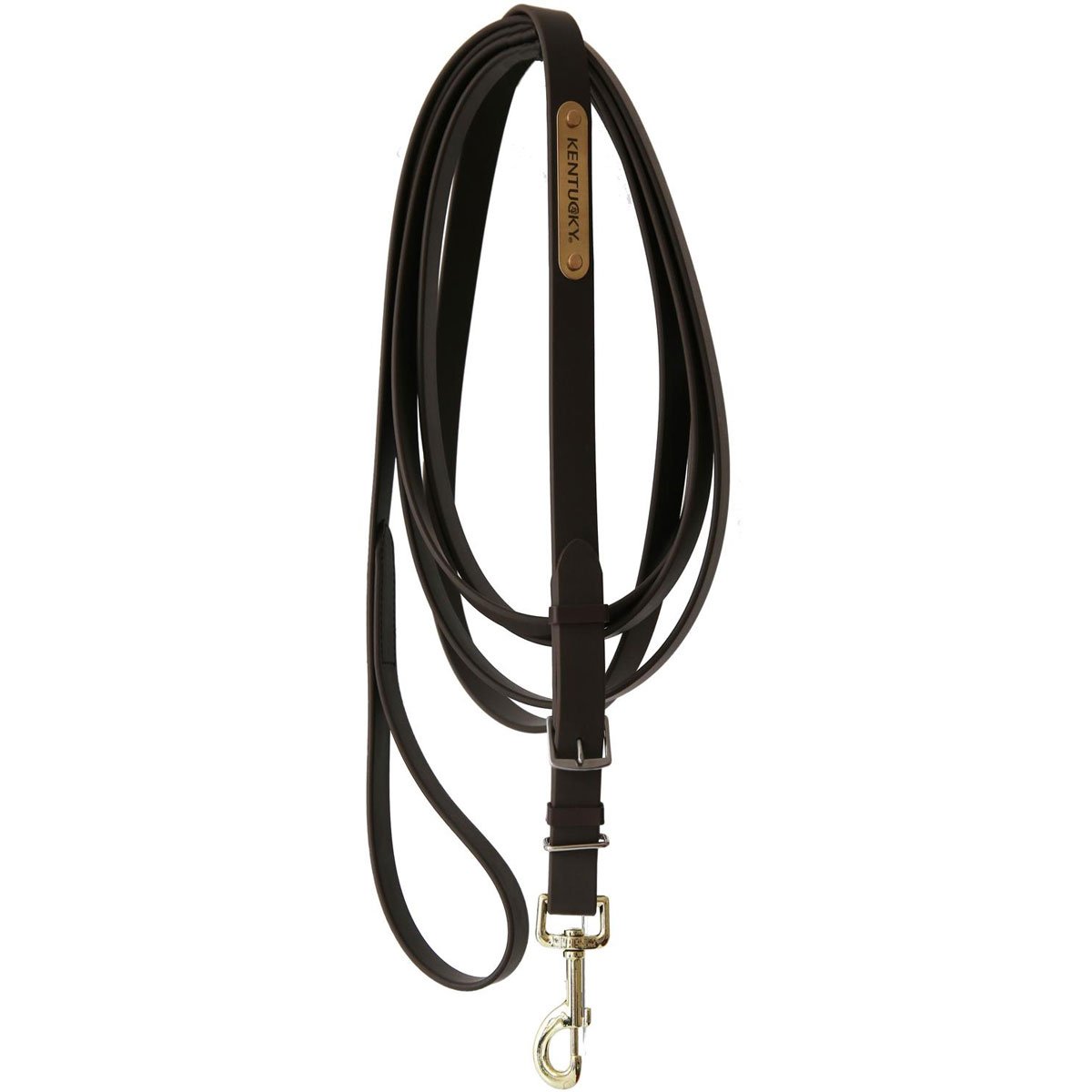 Bild von Kentucky Hengstführleine Stallion Lead braun 4m