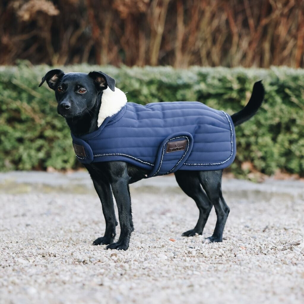 Bild von Kentucky Dogwear Hundemantel PEARLS marineblau XS