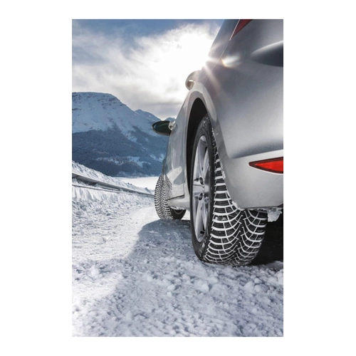 Bild von 185/65R15*T ULTRAGRIP 9+ MS 88T