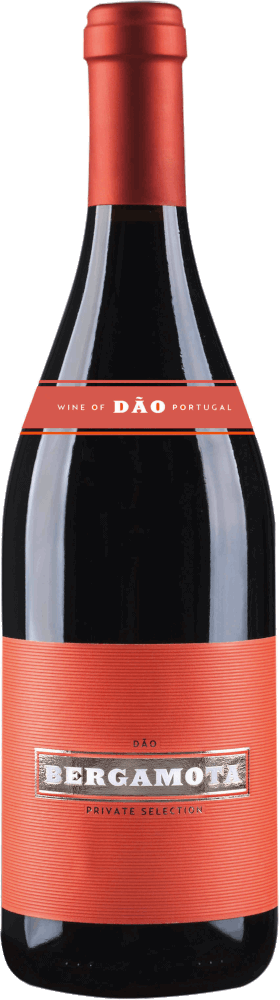 Bild von Rotwein Bergamota Tinto Dão DOC von GOTA Wines, 6 Flaschen Sparpaket mit je 0,75l
