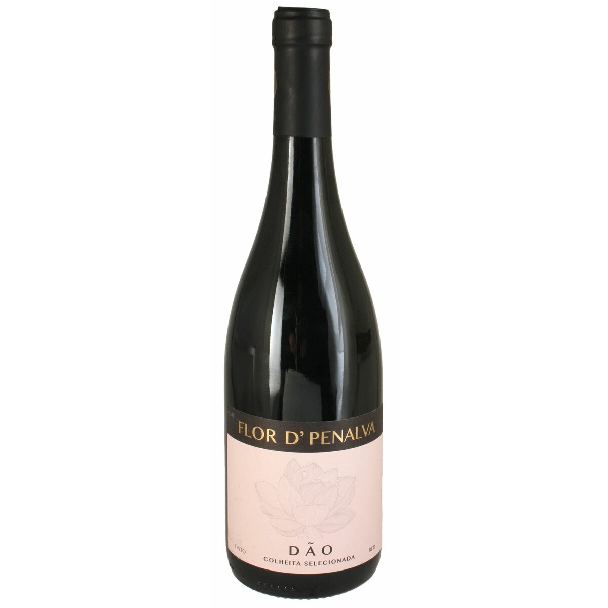 Bild von Flor de Penalva Dao 2019 DOP 0,75 Ltr.
