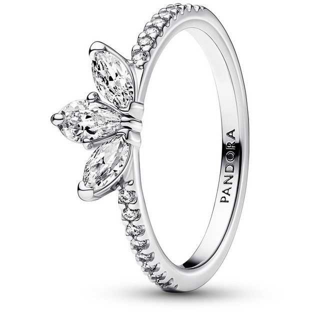 Bild von Pandora 192392C01 Ring für Damen Funkelndes Herbarium Silber