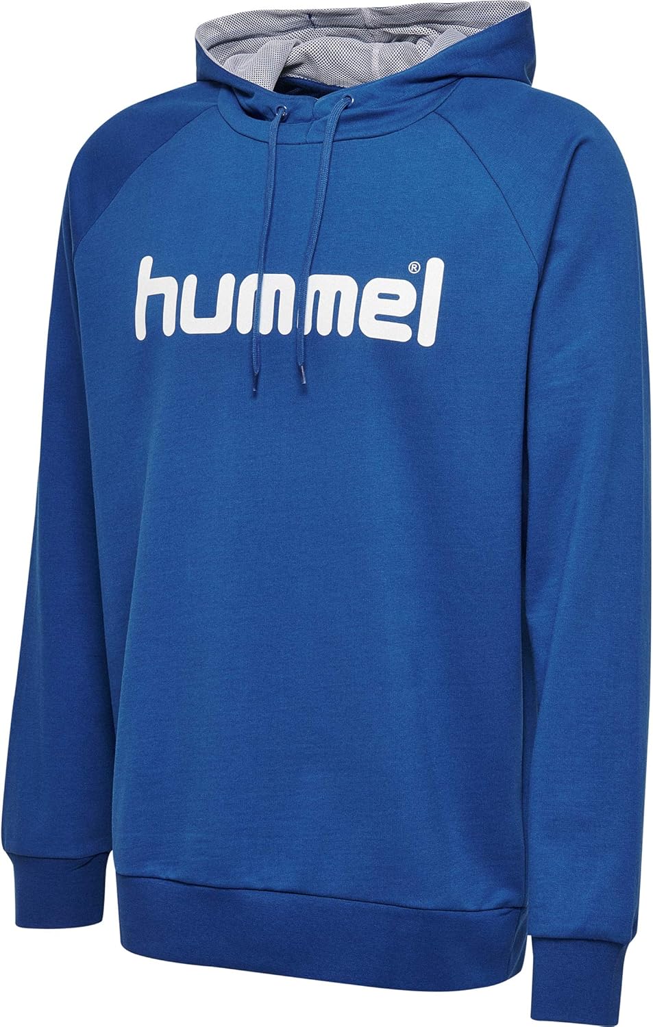 Bild von Hummel Herren Hmlgo Cotton Logo Hoodie Kapuzenpullover, True Blue, M