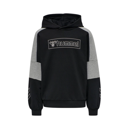 Bild von hummel Hmlboxline Hoodie für Damen