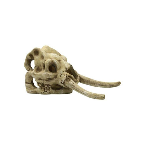 Bild von 4FISH Skull: Eine stilvolle Tierfigur für jedes Zuhause