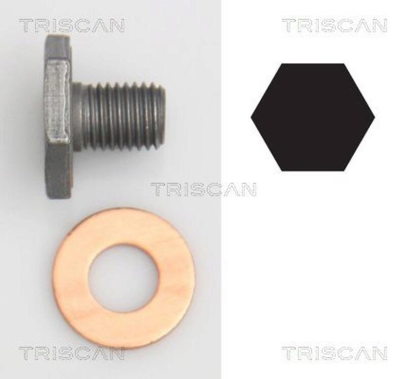 Bild von TRISCAN 9500 1010 Ölablaßschraube Verschlußschraube, Ölschraube, Verschlußschraube, Ölwanne M10x1,25 21 CITROËN: C4 Picasso 2, C4 I Grand Picasso