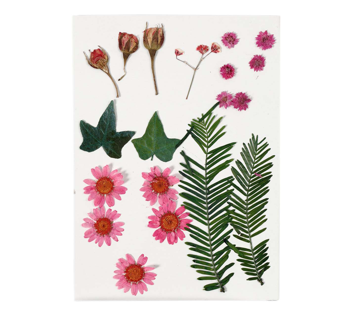 Bild von Creativ Company Dried Flowers and Leaves Light Red 19 pcs.