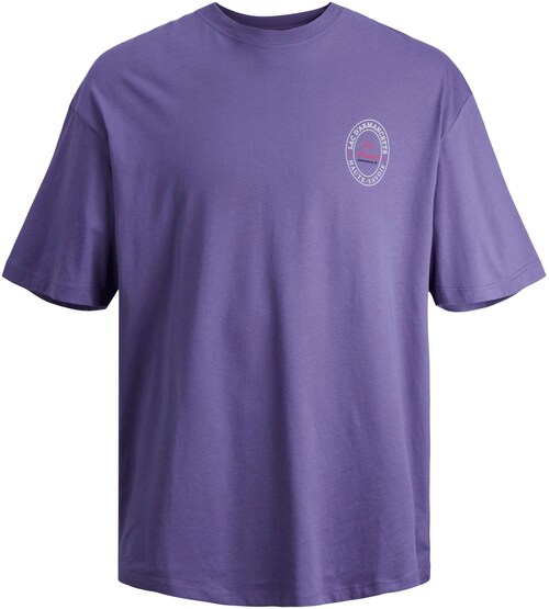 Bild von Jack & Jones Rundhalsshirt »JORVILLERAYBRIGHT TEE SS CREW NECK LN«