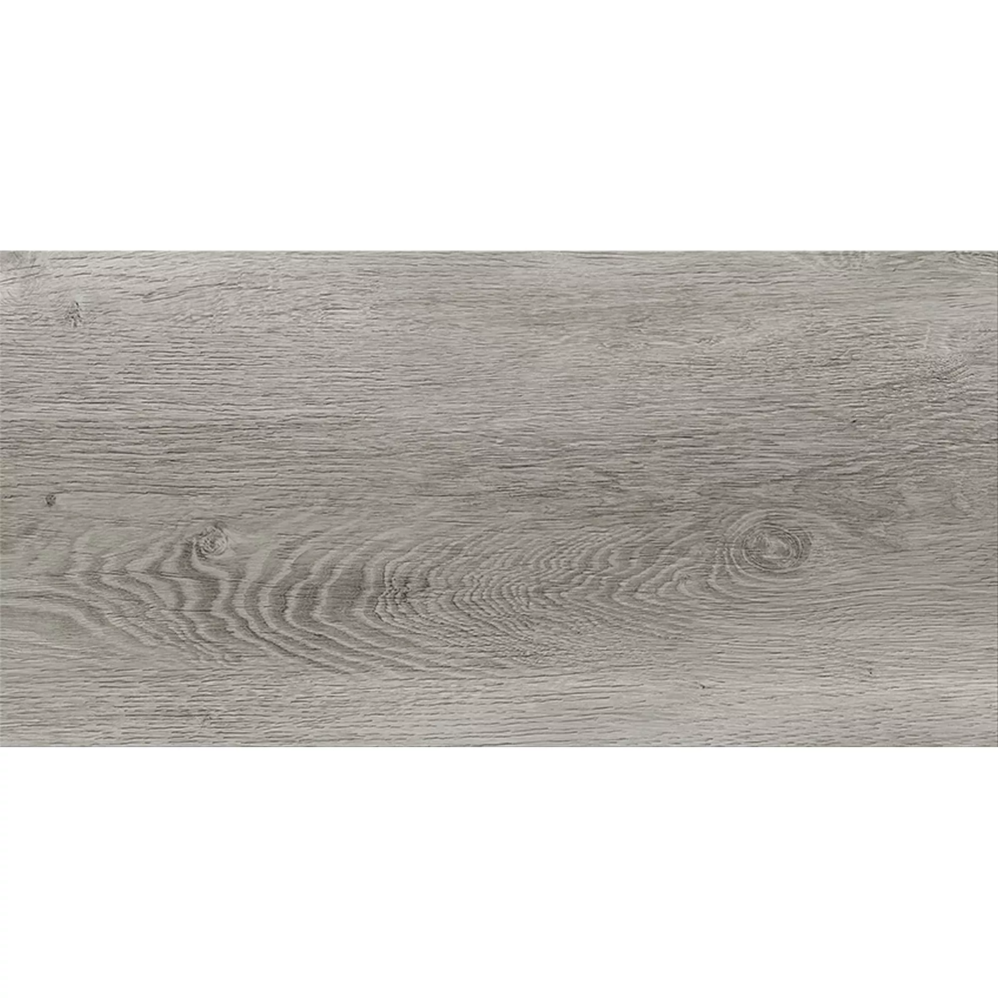 Bild von Bodenfliese 'Starwood' Feinsteinzeug grau 29,8 x 59,8 cm