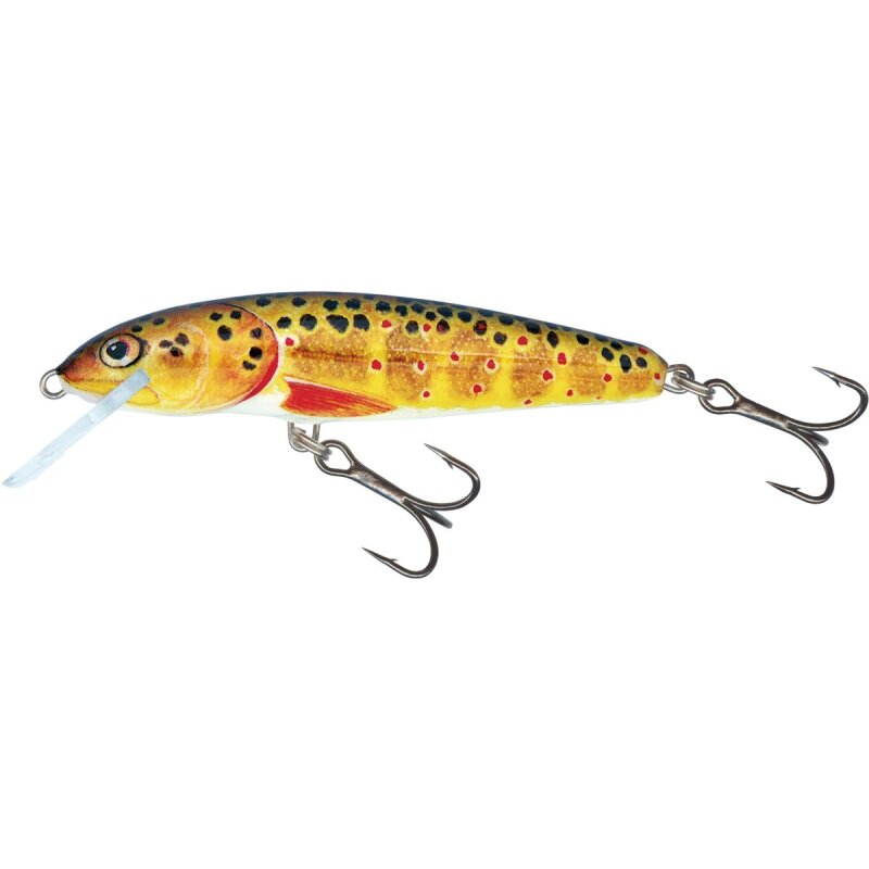 Bild von Salmo Minnow Wobbler Köder für Hecht Zander Barsch Forelle Hechtköder Hechtwobbler Barschwobbler Forellenwobbler Salmo Trout 6cm / 4g / schwimmend / 0.5-1.0m