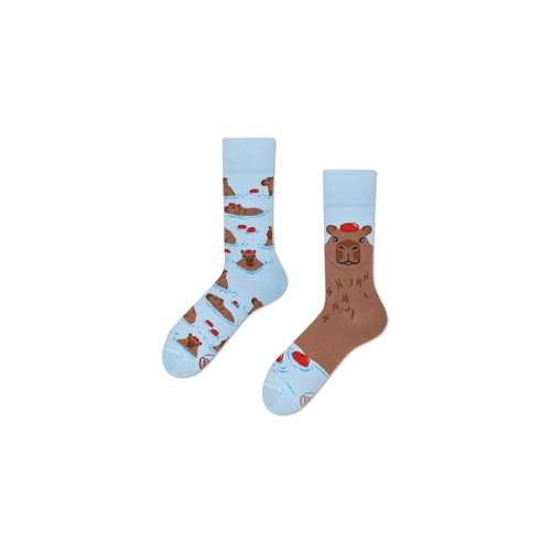 Bild von Many Mornings - Mismatched Socken Design: Capybara