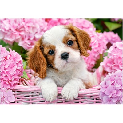 Bild von Castorland Pup in pink flowers 500 pcs Puzzlespiel 500 Stück(e) Fauna (500 Teile)