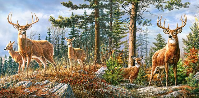 Bild von Castorland Königliche Familie der Hirsche 4000 Teile Puzzle Castorland-400317