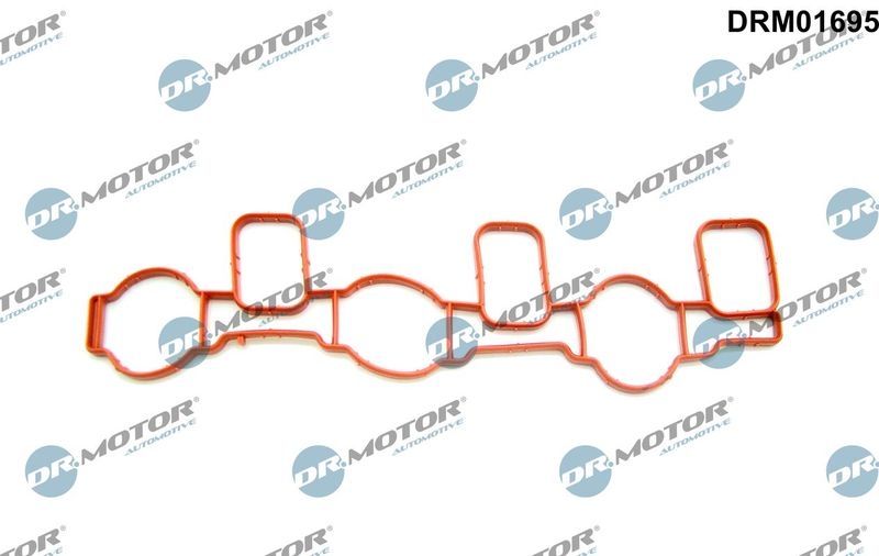 Bild von DR.MOTOR AUTOMOTIVE DRM01695 Ansaugkrümmerdichtung Ansaugdichtung, Dichtung, Ansaugkrümmer SEAT: Ibiza 4 ST