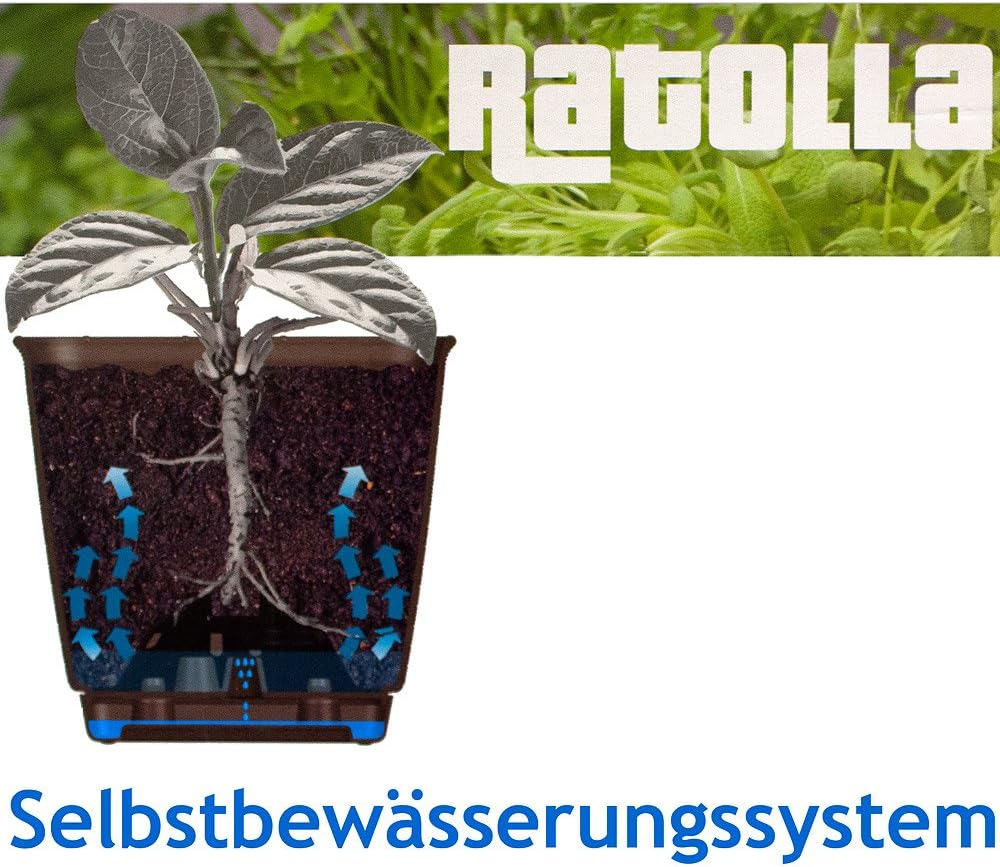 Bild von Prosperplast Pflanzkübel DRL400PW, Rechteckiger Blumentopf mit Haken Ratolla Anthrazit/Umbra/Weiß