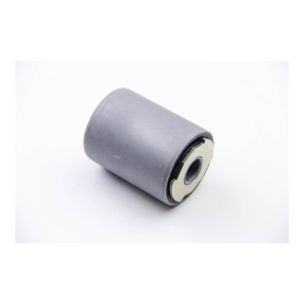 Bild von NTY ZTT-CH-003B Lagerbuchse, Blattfeder