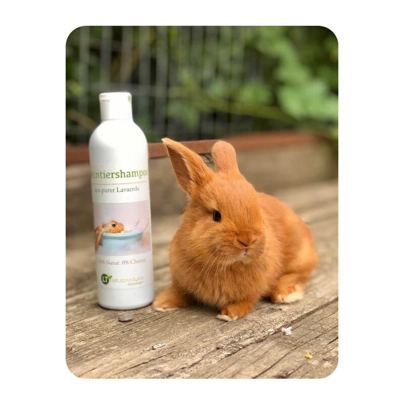 Bild von Medizinisches Kaninchenshampoo | Bio | sanfte Fellpflege ohne Chemie & Seife | gegen Juckreiz | hypoallergen | unterstützt die Wundheilung | mit original marokkanischer Lavaerde | 250 ml