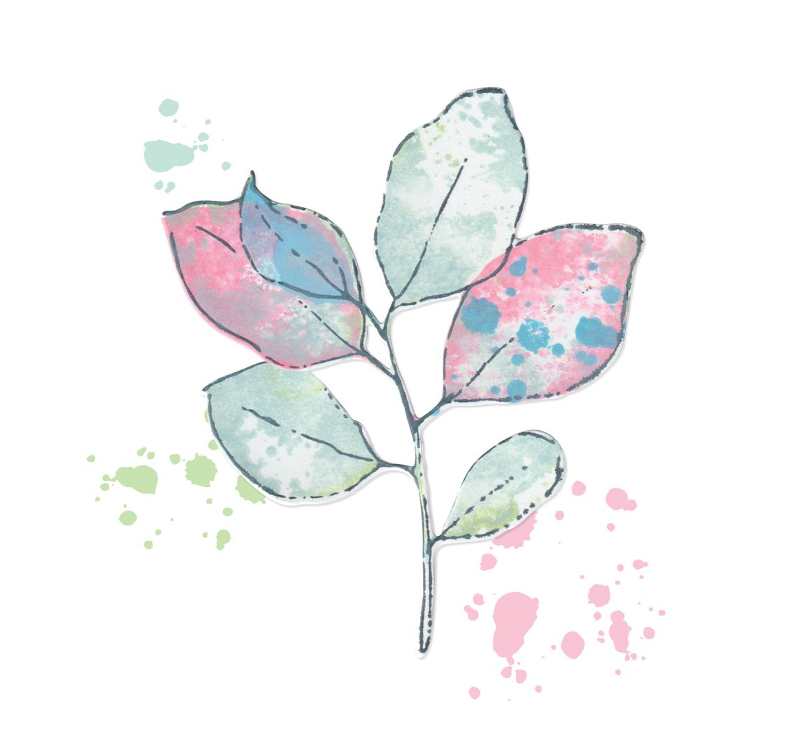 Bild von Sizzix Motivschablone Sizzix Framelits Stanzschablone und Clear Stamps '