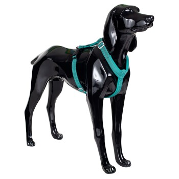 Bild von Paikka Easy Harness emerald grün/ türkis M