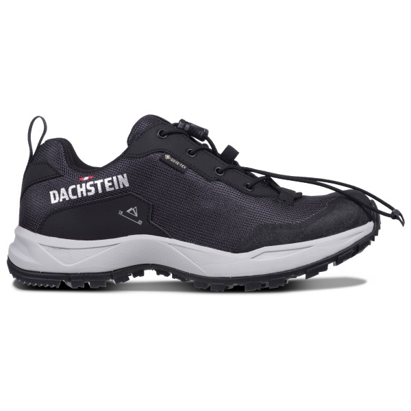 Bild von Dachstein - Women's Delta Ascent GTX - Multisportschuhe Gr 4 grau