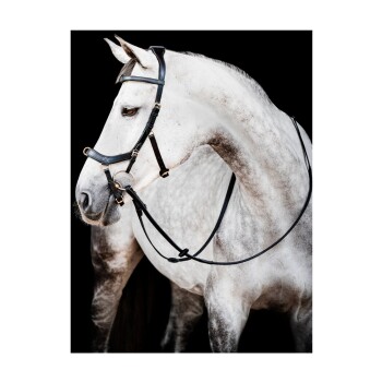 Bild von Horseware Trense Micklem Multi Bridle VB/ COB (Vollblut)