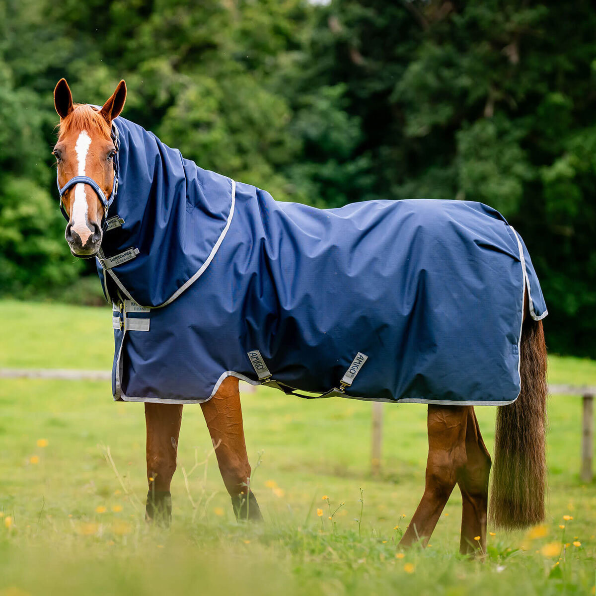 Bild von Horseware Weidedecke AMIGO RIPSTOP 900 PLUS 100g, navy/titanium...