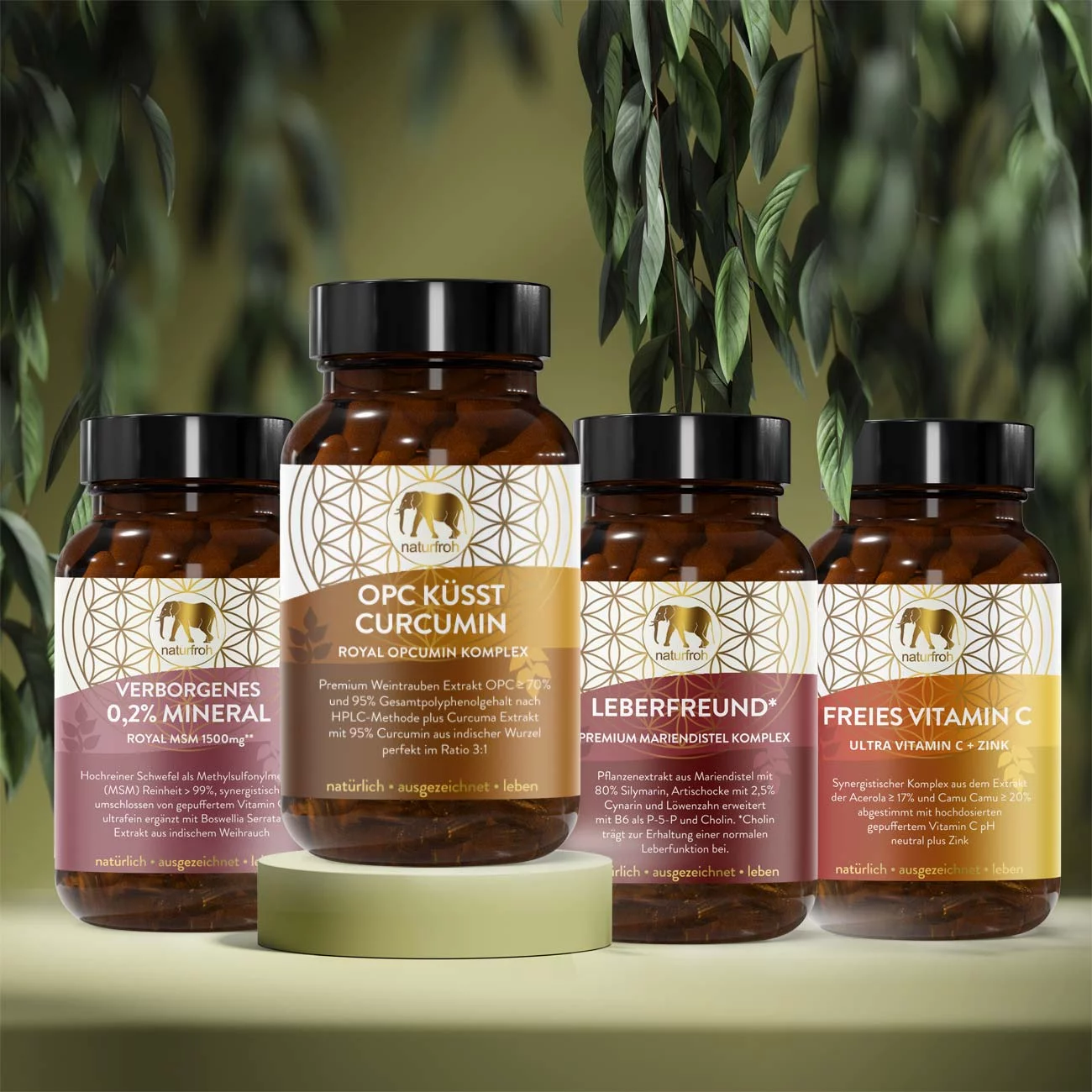 Bild von Immunsystem* Vorteilspaket mit *Vitamin C, Zink, OPC, Kurkuma