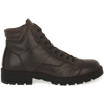 Bild von IgI&CO  Stiefel CONRAD CAFFE