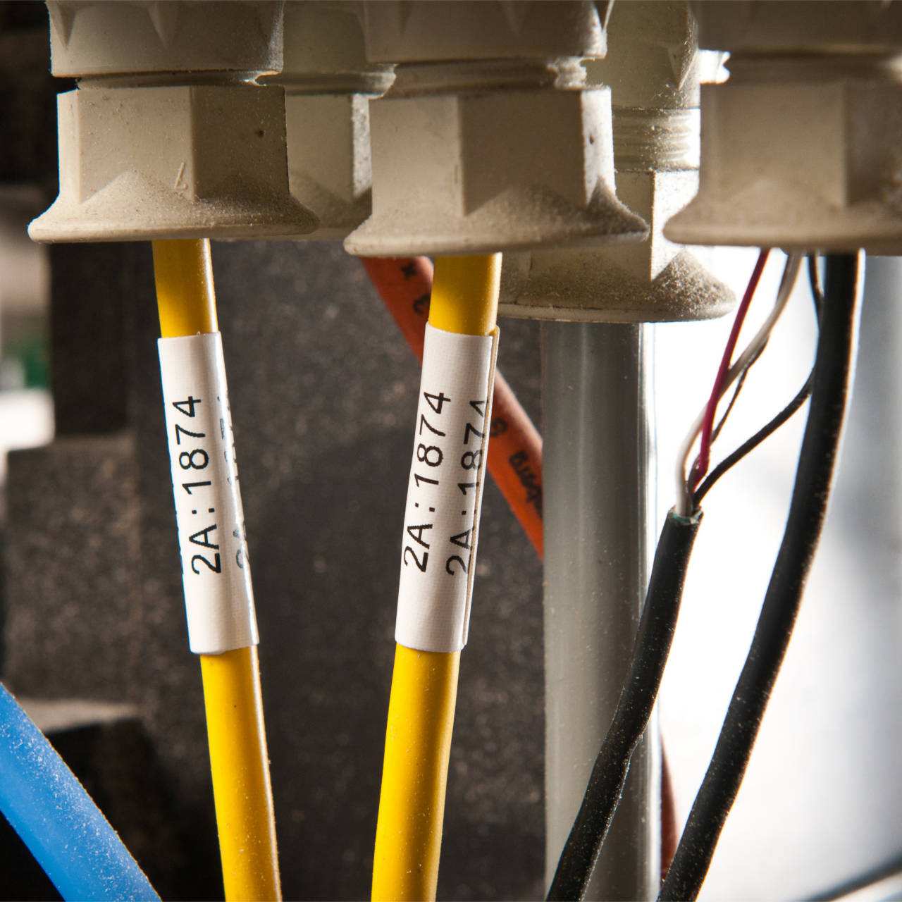 Bild von Brady CleanLift Wickeletiketten, für Leitungs- und Kabelkennzeichnung, entfernbar, B-498 für BMP 71