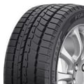 Bild von FORTUNE 295/35R21 107V TL FSR 901