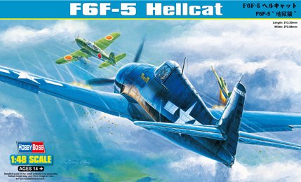 Bild von F6F-5 Hell cat
